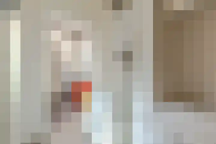 Koolzaadstraat 23 Rotterdam thumbnail 11