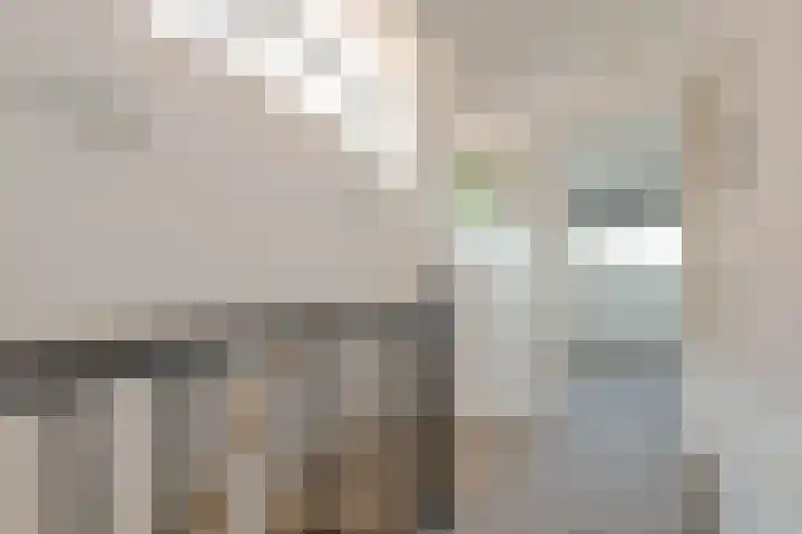 Koolzaadstraat 23 Rotterdam thumbnail 20