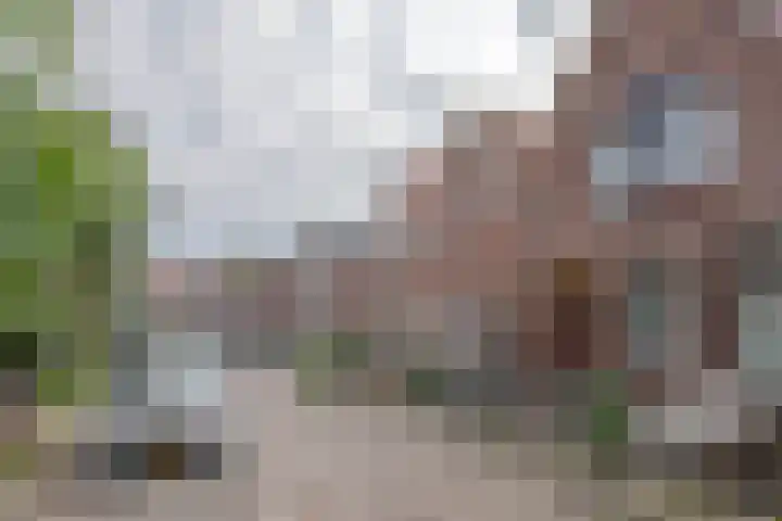 Koolzaadstraat 23 Rotterdam thumbnail 22