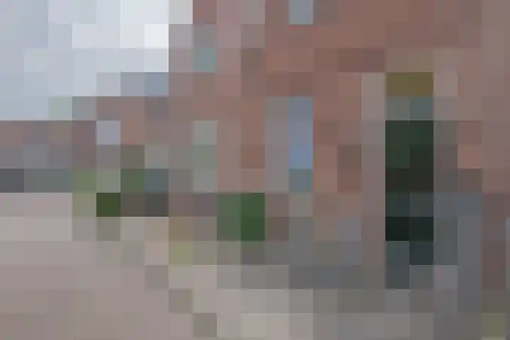 Koolzaadstraat 23 Rotterdam thumbnail 23