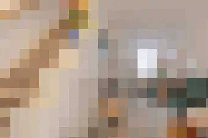 Koolzaadstraat 23 Rotterdam thumbnail 9