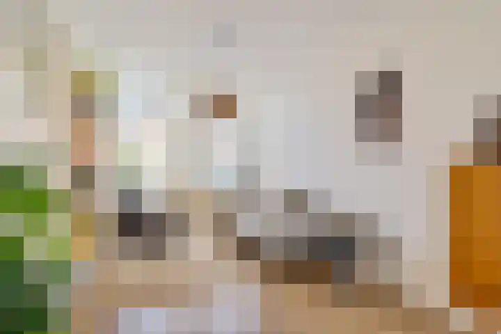 Koolzaadstraat 26 Rotterdam thumbnail 12