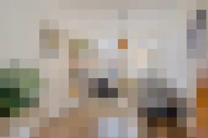 Koolzaadstraat 26 Rotterdam thumbnail 14