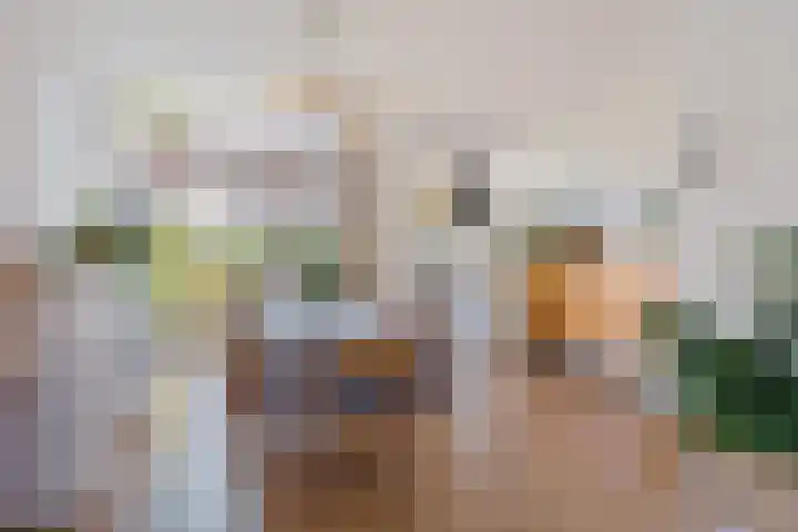 Koolzaadstraat 26 Rotterdam thumbnail 18