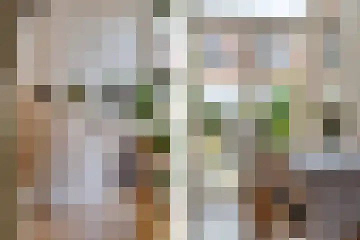 Koolzaadstraat 26 Rotterdam thumbnail 19