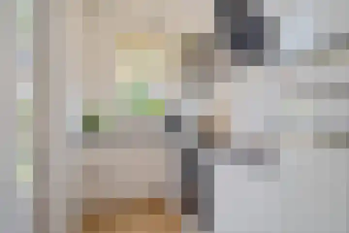 Koolzaadstraat 26 Rotterdam thumbnail 24