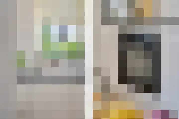 Koolzaadstraat 26 Rotterdam thumbnail 25