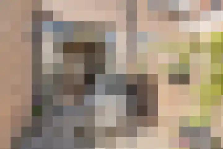 Koolzaadstraat 26 Rotterdam thumbnail 31