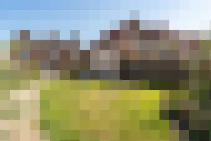 Koolzaadstraat 26 Rotterdam thumbnail 48