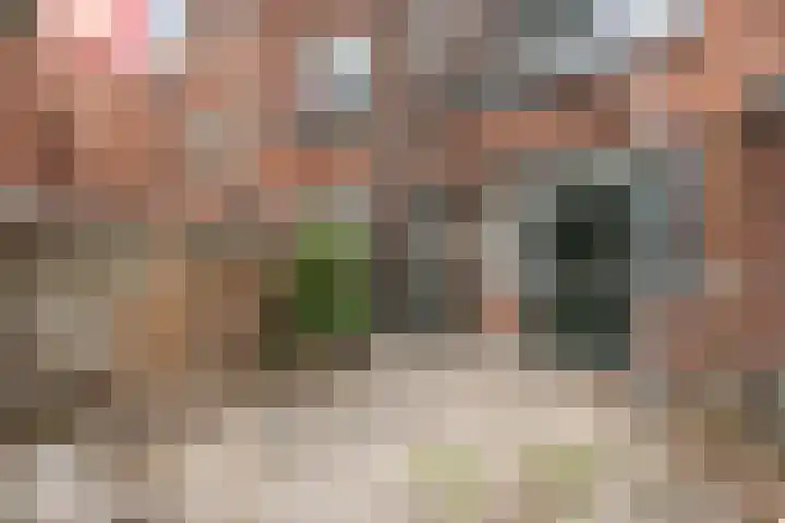 Koolzaadstraat 35 B Rotterdam thumbnail 6