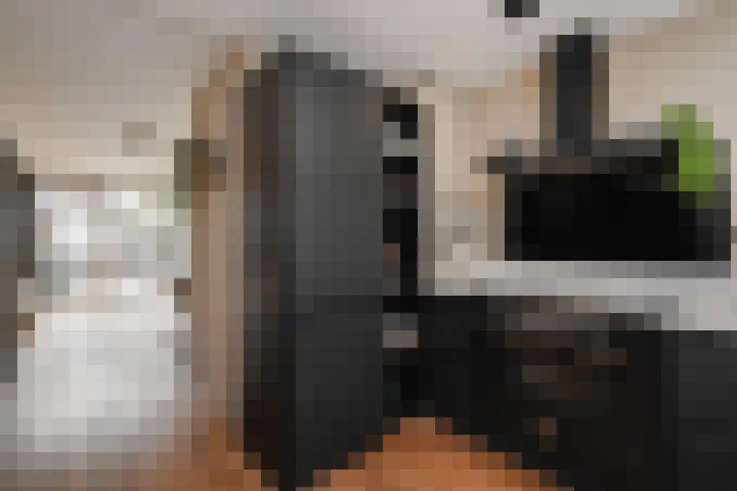 Koolzaadveld 12 Den Haag thumbnail 10