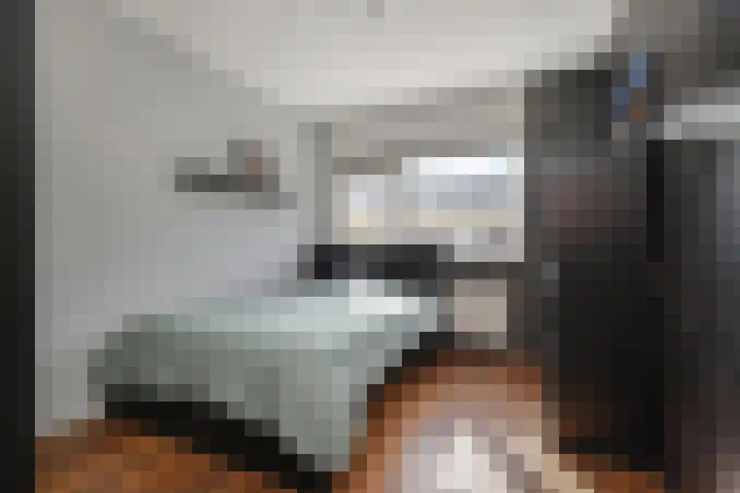 Koolzaadveld 12 Den Haag thumbnail 25