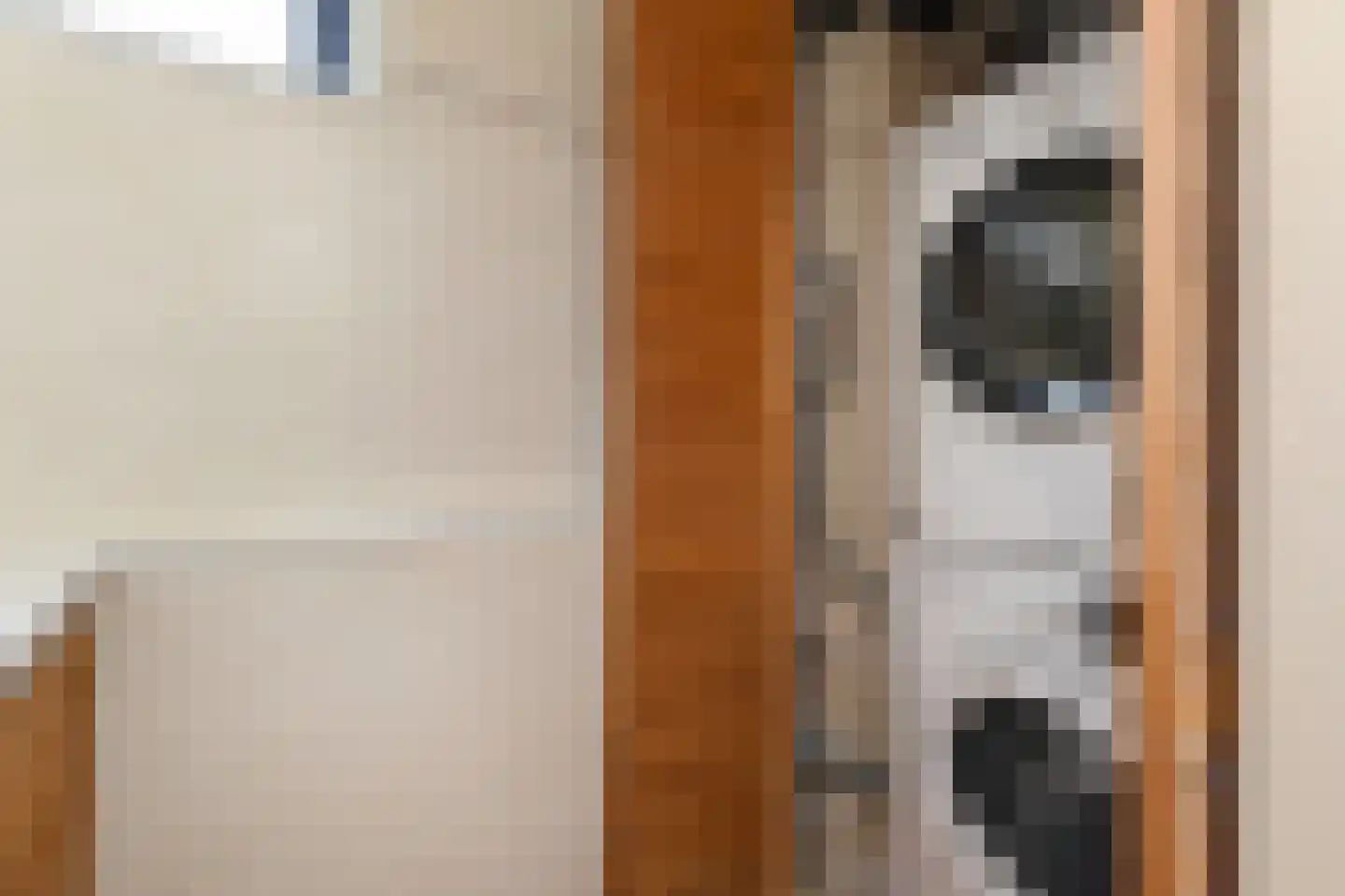 Koolzaadveld 12 Den Haag thumbnail 33