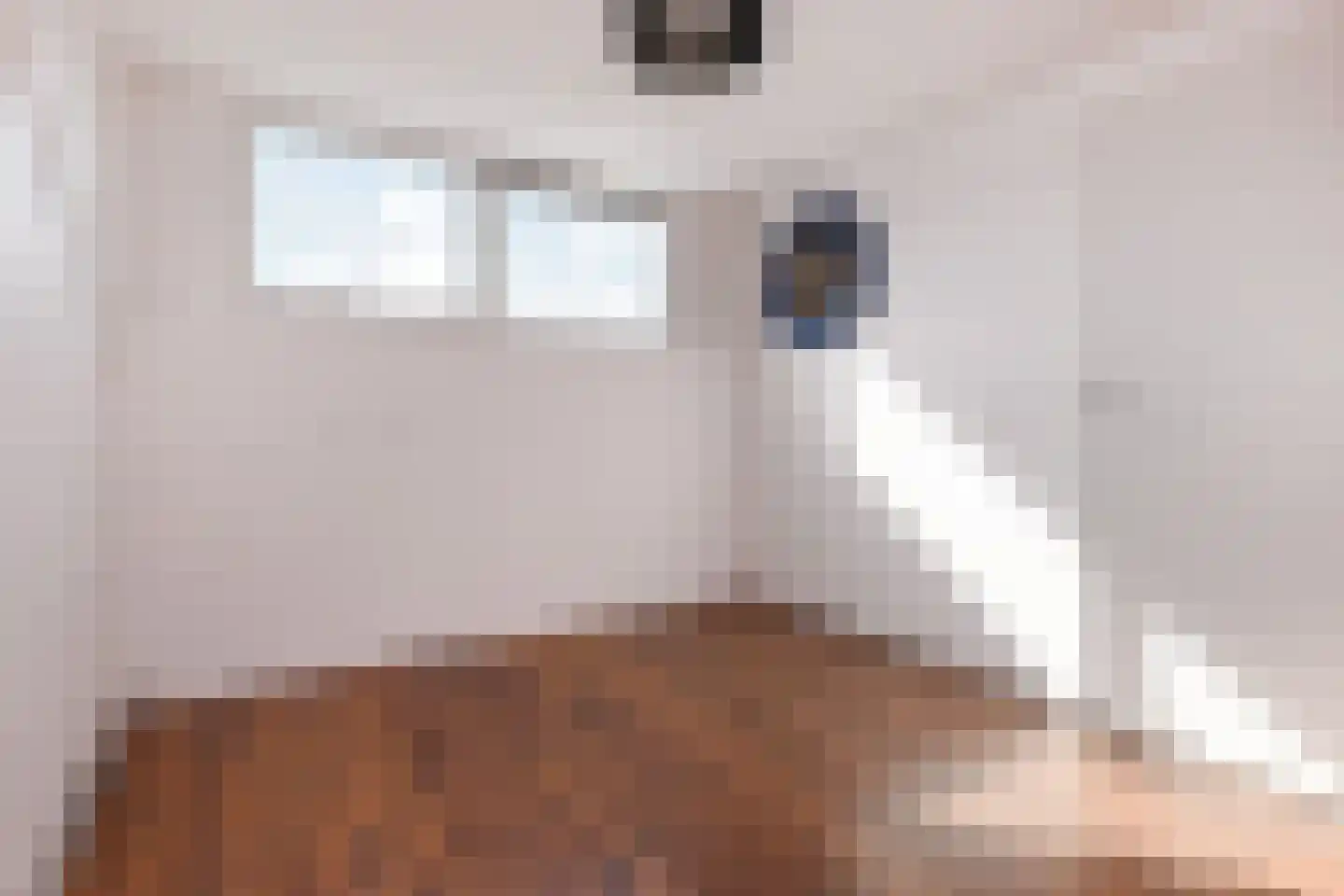 Koolzaadveld 12 Den Haag thumbnail 37