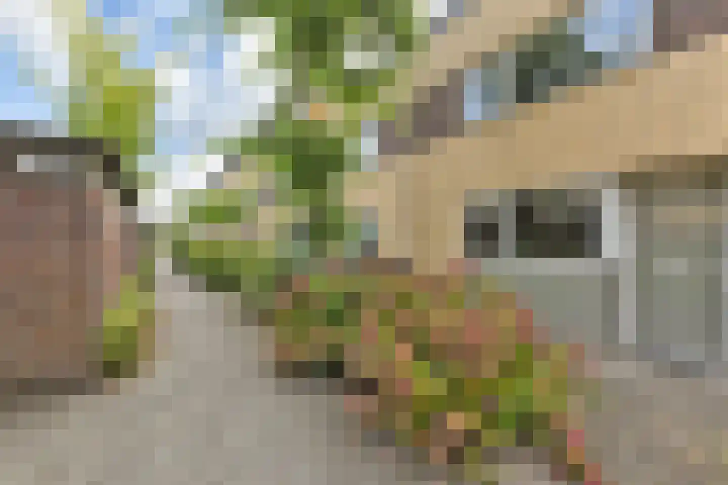 Koolzaadveld 12 Den Haag thumbnail 41