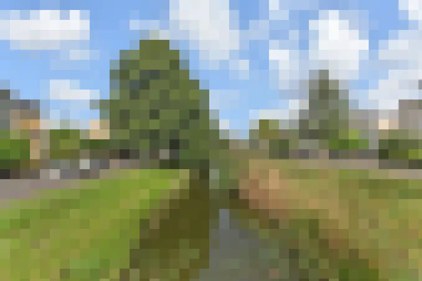 Koolzaadveld 12 Den Haag thumbnail 45