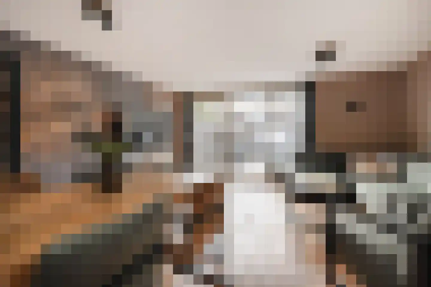 Koolzaadveld 12 Den Haag thumbnail 5