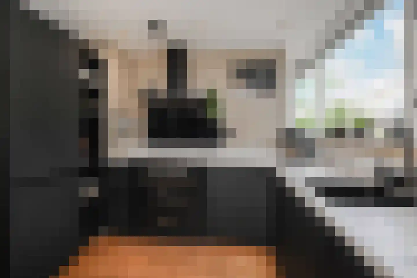 Koolzaadveld 12 Den Haag thumbnail 9