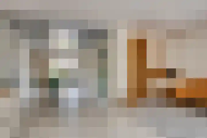Koolzaadveld 15 Bergschenhoek thumbnail 10