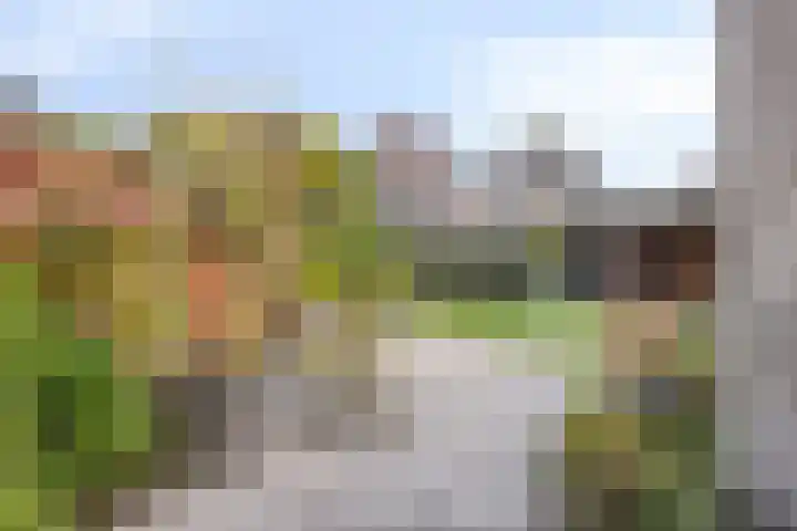 Koolzaadveld 15 Bergschenhoek thumbnail 12