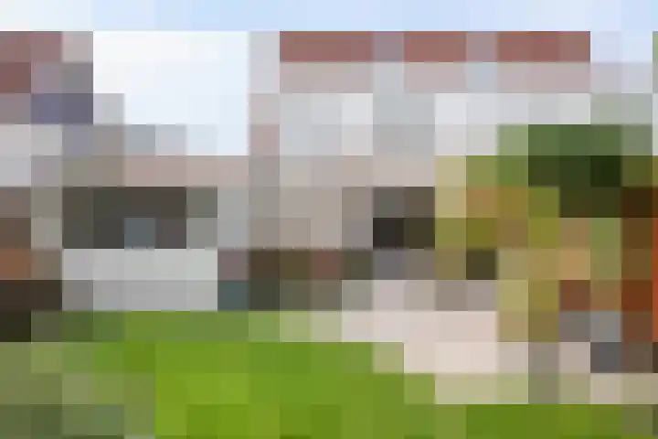 Koolzaadveld 15 Bergschenhoek thumbnail 14