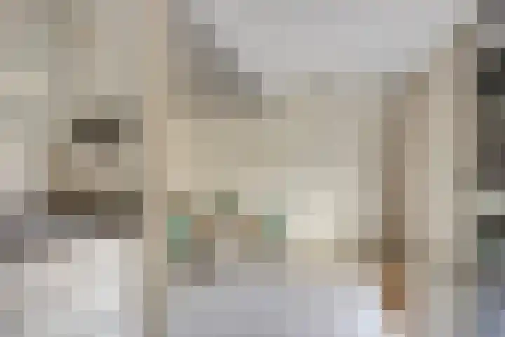 Koolzaadveld 15 Bergschenhoek thumbnail 17