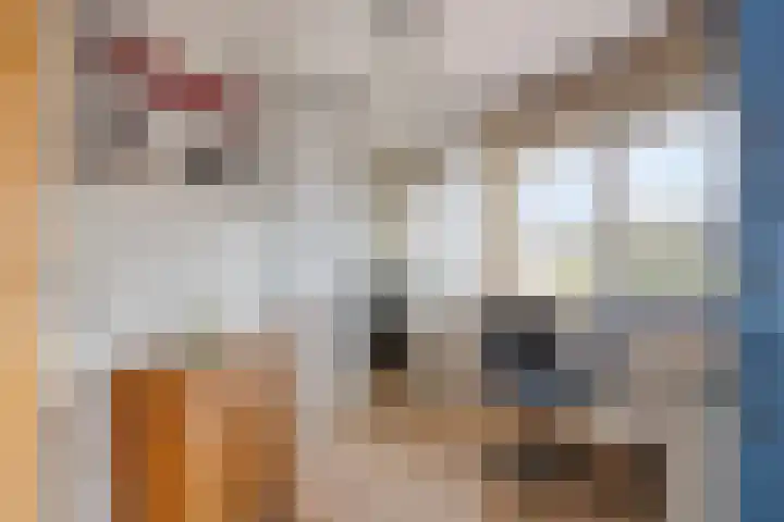 Koolzaadveld 15 Bergschenhoek thumbnail 28