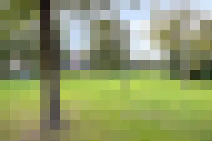 Koolzaadveld 15 Bergschenhoek thumbnail 32