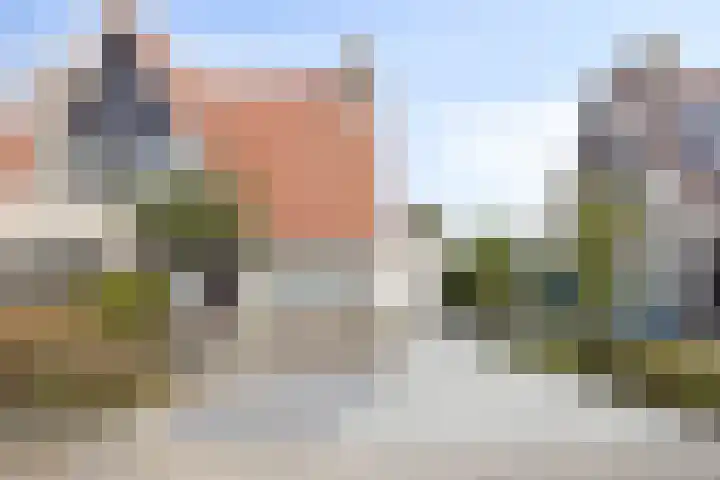 Koolzaadveld 15 Bergschenhoek thumbnail 4