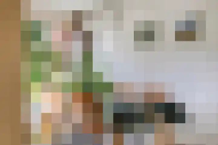 Koolzaadveld 2 Beuningen Gld thumbnail 10