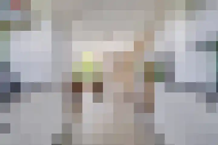 Koolzaadveld 2 Beuningen Gld thumbnail 18