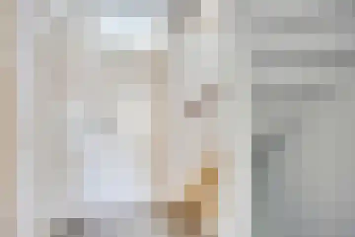 Koolzaadveld 2 Beuningen Gld thumbnail 19