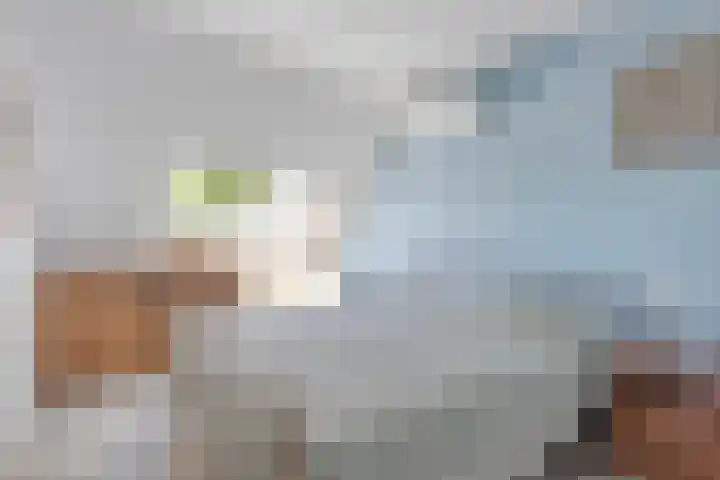 Koolzaadveld 2 Beuningen Gld thumbnail 20