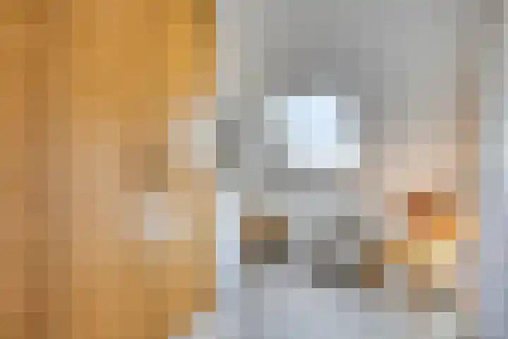 Koolzaadveld 2 Beuningen Gld thumbnail 24
