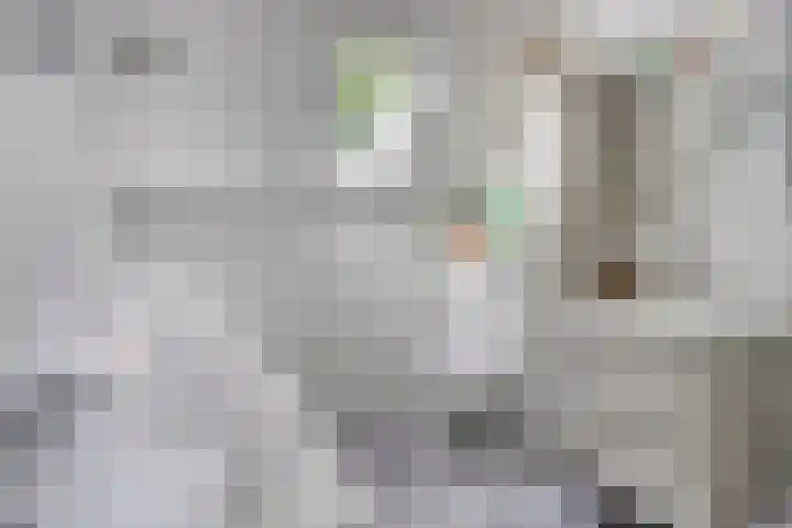 Koolzaadveld 2 Beuningen Gld thumbnail 25