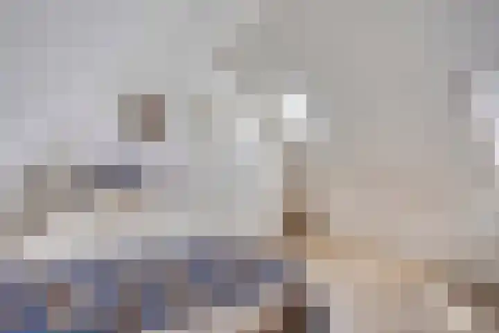 Koolzaadveld 2 Beuningen Gld thumbnail 28