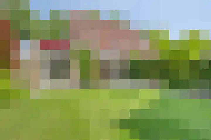 Koolzaadveld 2 Beuningen Gld thumbnail 29