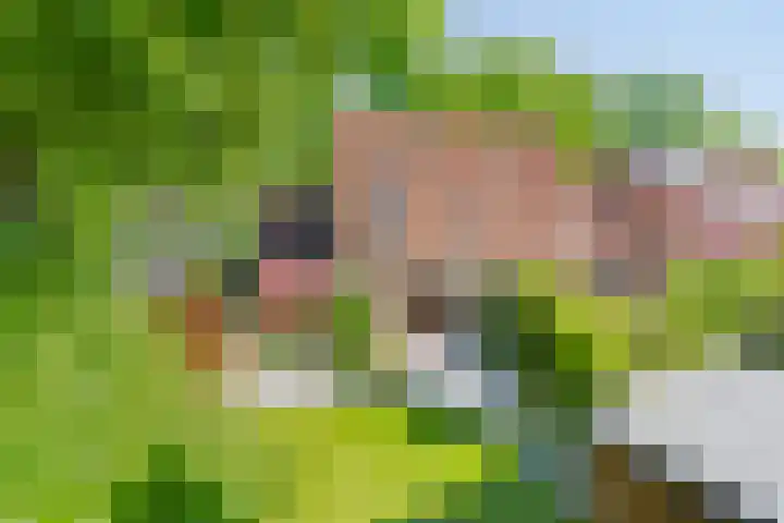 Koolzaadveld 2 Beuningen Gld thumbnail 31
