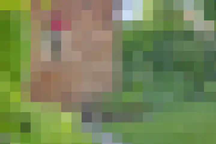 Koolzaadveld 2 Beuningen Gld thumbnail 33