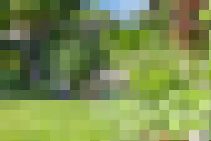 Koolzaadveld 2 Beuningen Gld thumbnail 34