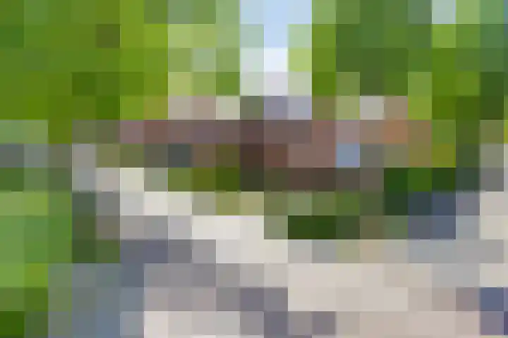 Koolzaadveld 2 Beuningen Gld thumbnail 36
