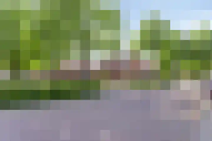 Koolzaadveld 2 Beuningen Gld thumbnail 37