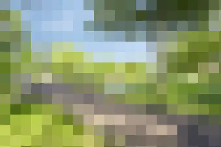 Koolzaadveld 2 Beuningen Gld thumbnail 38
