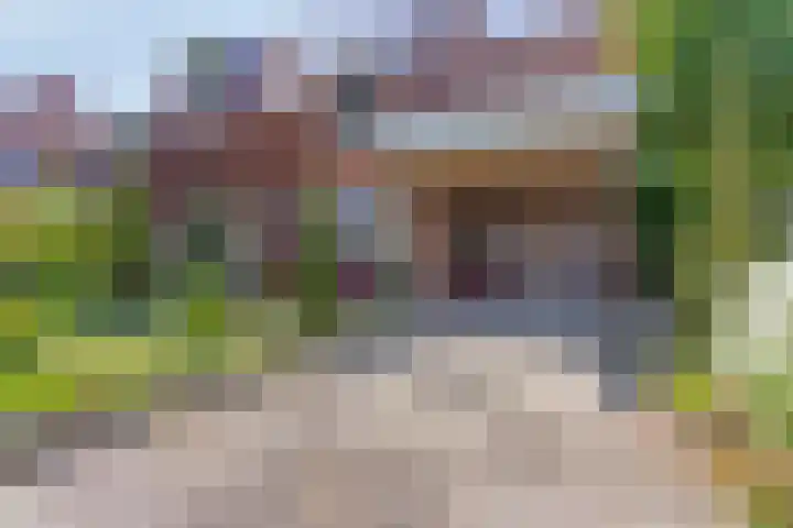 Koolzaadveld 2 Beuningen Gld thumbnail 4