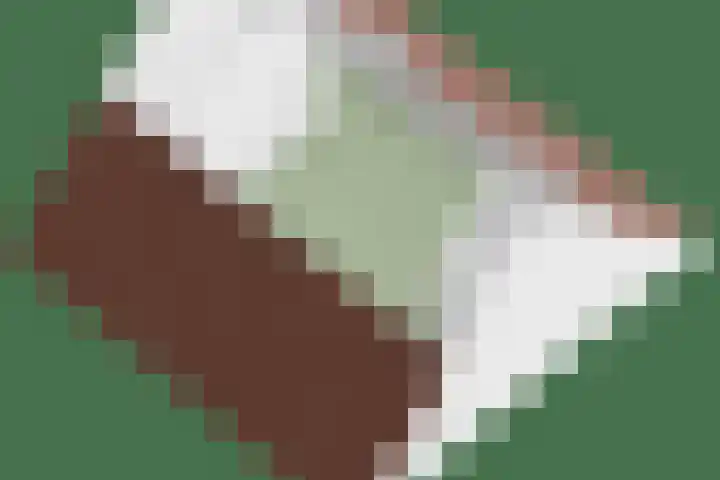 Koolzaadveld 2 Beuningen Gld thumbnail 47