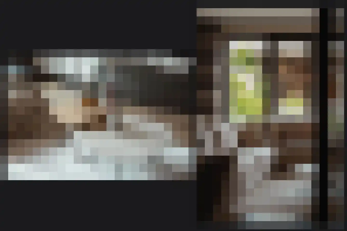 Koolzaadveld 57 Beneden-Leeuwen thumbnail 15