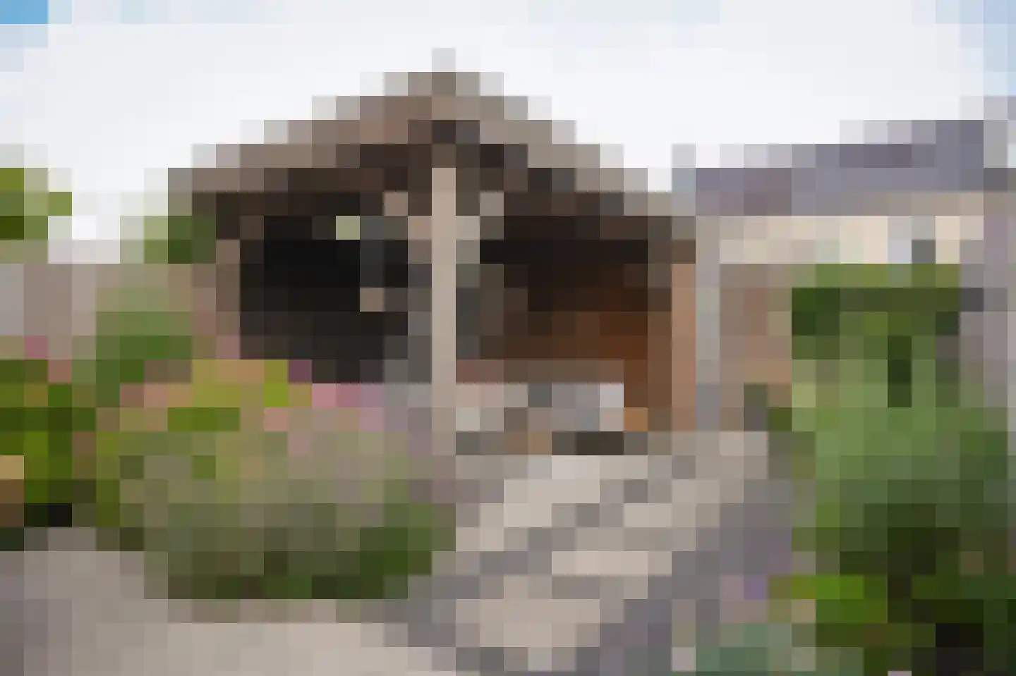 Koolzaadveld 57 Beneden-Leeuwen thumbnail 34
