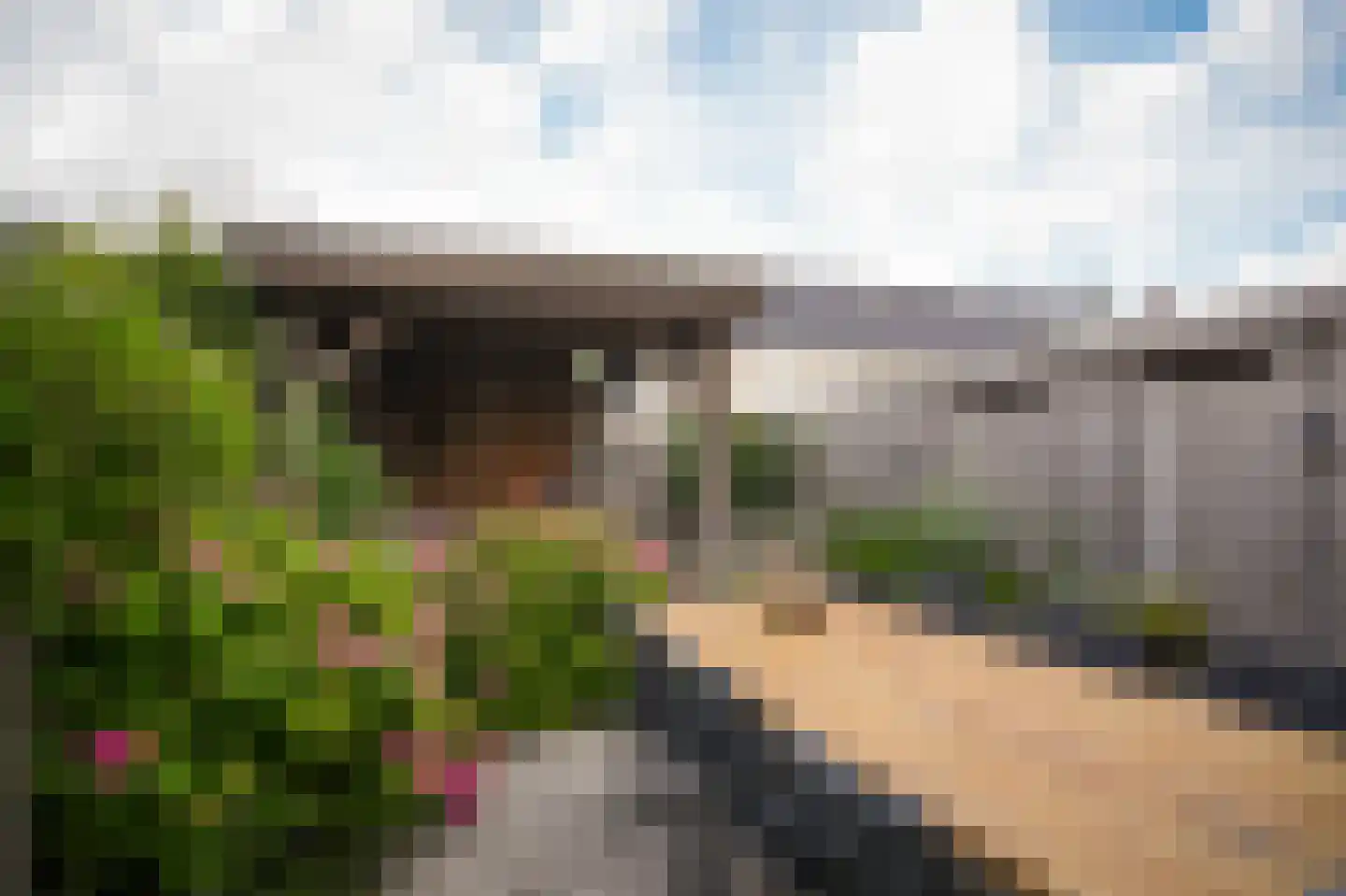 Koolzaadveld 57 Beneden-Leeuwen thumbnail 39