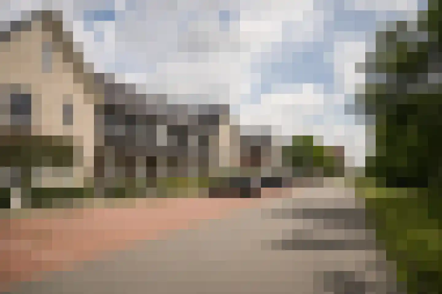 Koolzaadveld 57 Beneden-Leeuwen thumbnail 42