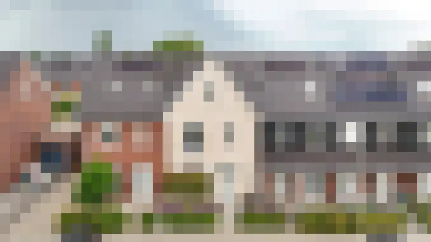 Koolzaadveld 57 Beneden-Leeuwen thumbnail 43